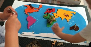 Praca z mapą kontynentów